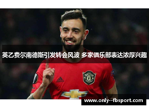 英乙费尔南德斯引发转会风波 多家俱乐部表达浓厚兴趣