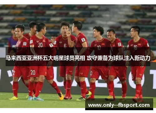 马来西亚亚洲杯五大明星球员亮相 攻守兼备为球队注入新动力