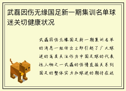 武磊因伤无缘国足新一期集训名单球迷关切健康状况
